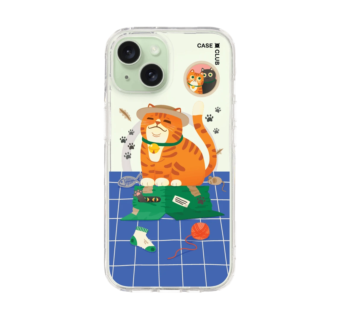 orange cat on the box